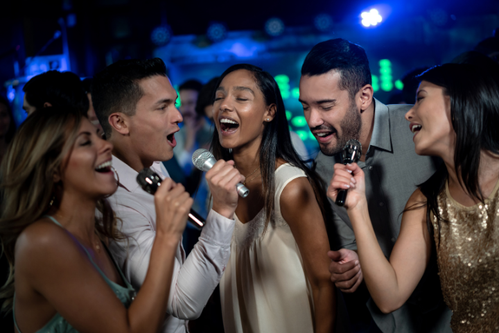 Hamburg Karaoke VIP Night